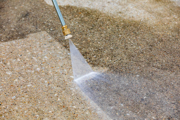 Best Roof Washing  in Seagraves, TX